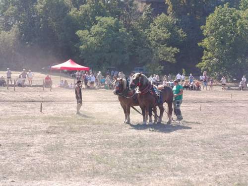 IMG_20260808_153651